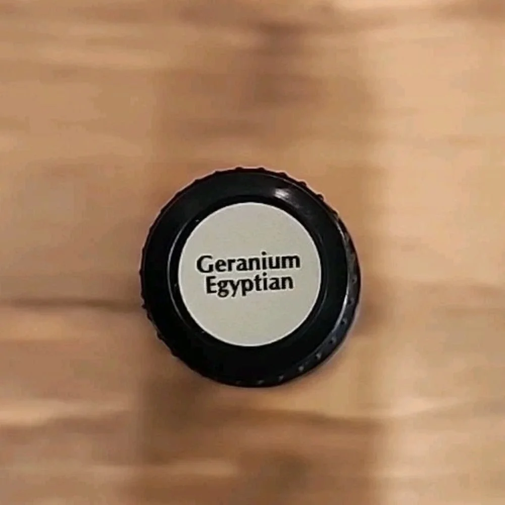 **NEW Plant‎ Therapy Geranium Egyptian Essential Oil 5ml